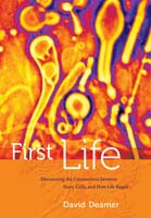First Life,  read by Michael Lenz